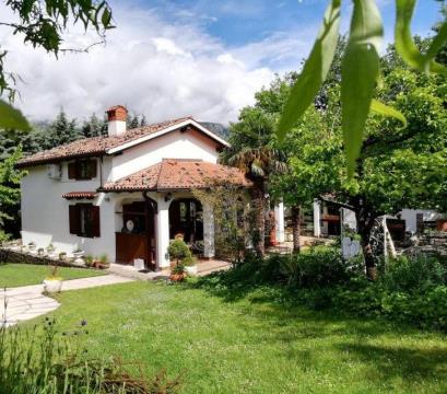 l_346870Apartma Slavi